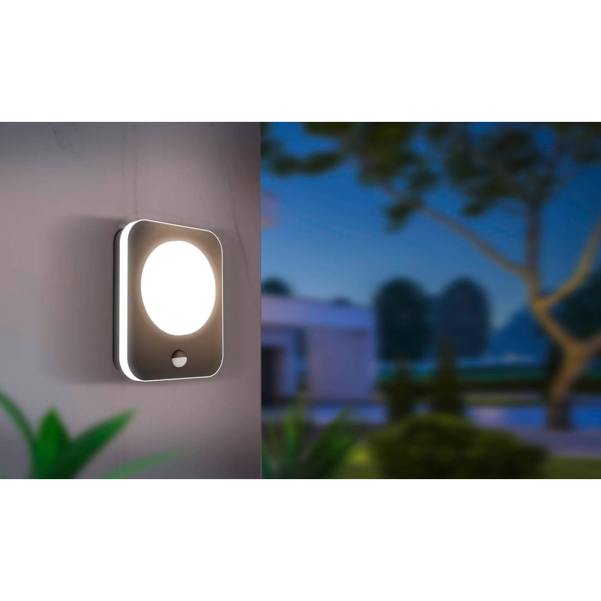 Eglo - LED Outdoor wall light with a sensor LED/9W/230V IP44