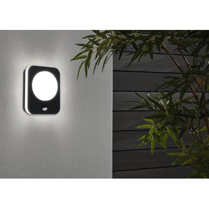 Eglo - LED Outdoor wall light with a sensor LED/9W/230V IP44