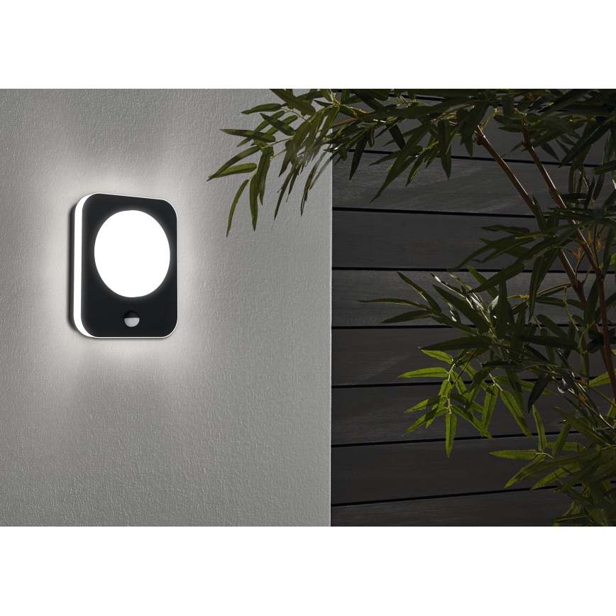 Eglo - LED Outdoor wall light with a sensor LED/9W/230V IP44