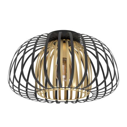 Eglo - Ceiling light 1xE27/40W/230V