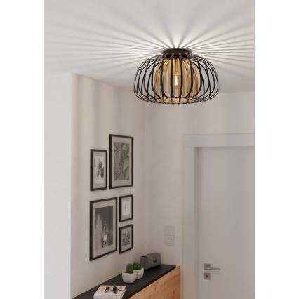 Eglo - Ceiling light 1xE27/40W/230V