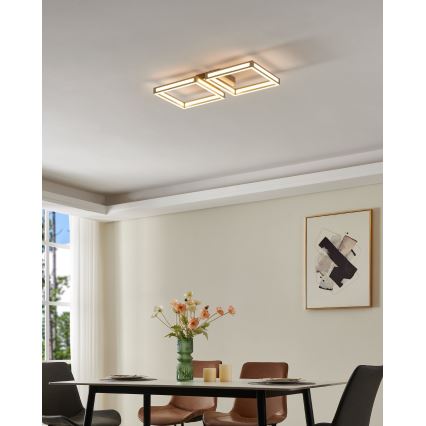 Eglo - LED Ceiling light 2xLED/11,2W/230V matte chrome