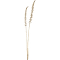 Eglo - Artificial flower 71,5 cm gold