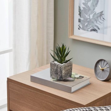 Eglo - Artificial plant in a flowerpot 13x9,5 cm succulent