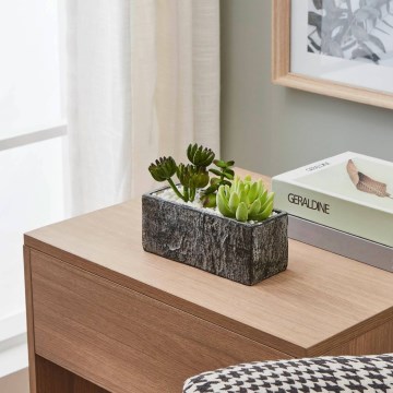 Eglo - Artificial plant in a flowerpot 14,5x17,8 cm succulent