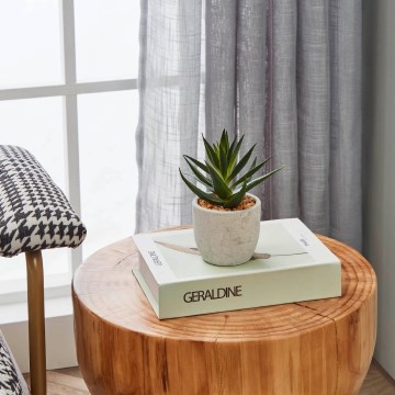 Eglo - Artificial plant in a flowerpot 15,5x10 cm succulent