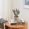 Eglo - Artificial plant in a flowerpot 22x8 cm lavender