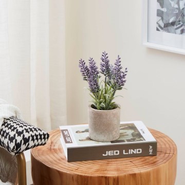 Eglo - Artificial plant in a flowerpot 22x8 cm lavender
