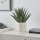 Eglo - Artificial plant in a flowerpot 36,5x25,5 cm