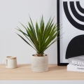 Eglo - Artificial plant in a flowerpot 39x40 cm