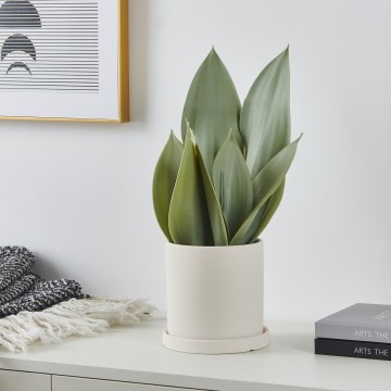 Eglo - Artificial plant in a flowerpot 41,5x28,5 cm