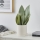 Eglo - Artificial plant in a flowerpot 41,5x28,5 cm