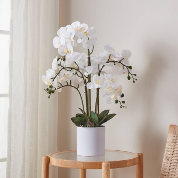 Eglo - Artificial plant in a flowerpot 65x50 cm orchid
