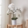 Eglo - Artificial plant in a flowerpot 65x50 cm orchid