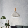 Eglo - Cable-suspended pendant lamp, 1x E27/60W/230V, Ø 28 cm, silver
