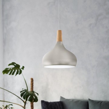 Eglo - Cable-suspended pendant lamp, 1x E27/60W/230V, Ø 28 cm, silver