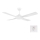 Eglo - Ceiling fan