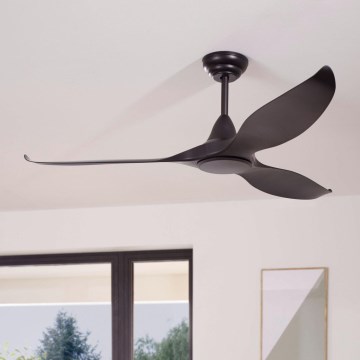 Eglo - Ceiling fan + Remote control