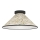 Eglo - Ceiling light 1xE27/25W/230V