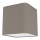 Eglo - Ceiling light 1xE27/28W/230V