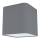 Eglo - Ceiling light 1xE27/28W/230V