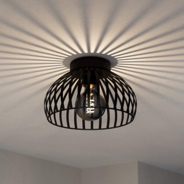 Eglo - Ceiling light 1xE27/40W/230V d. 28 cm