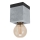 Eglo - Ceiling light 1xE27/40W/230V