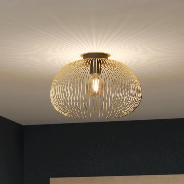 Eglo - Ceiling light 1xE27/40W/230V