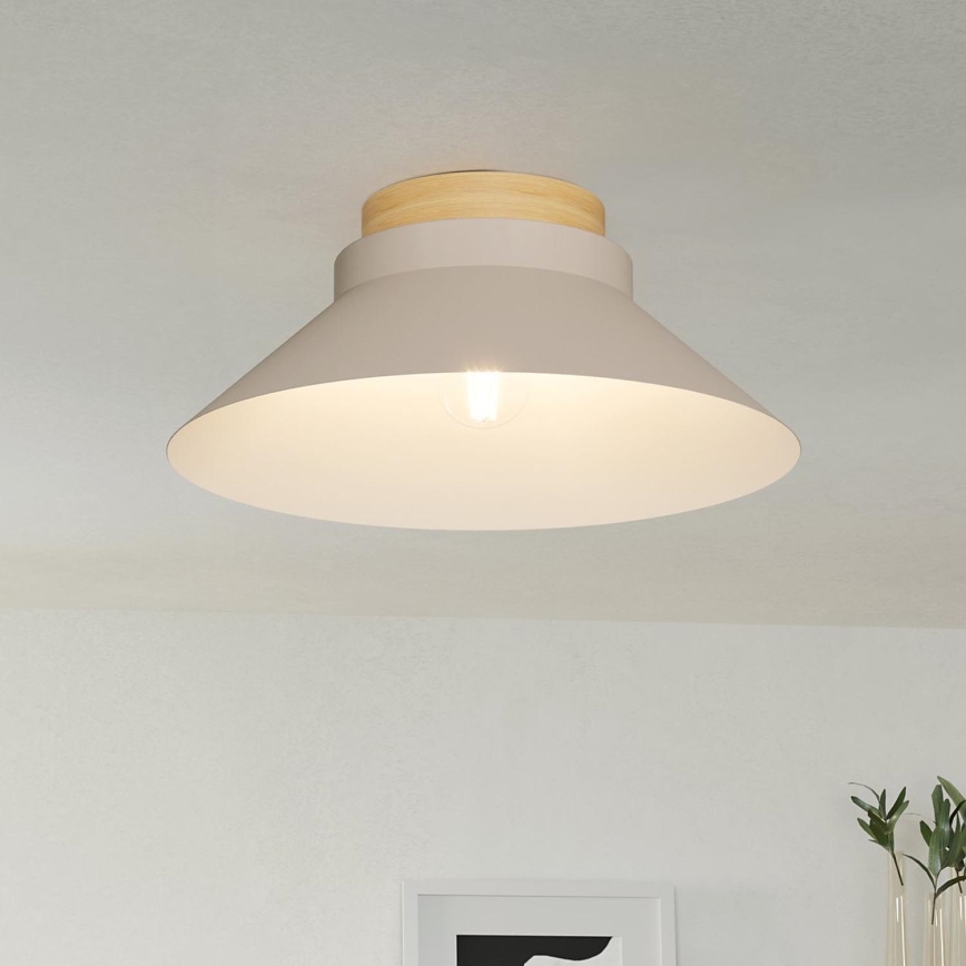 Eglo - Ceiling light 1xE27/40W/230V