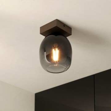 Eglo - Ceiling light 1xE27/40W/230V