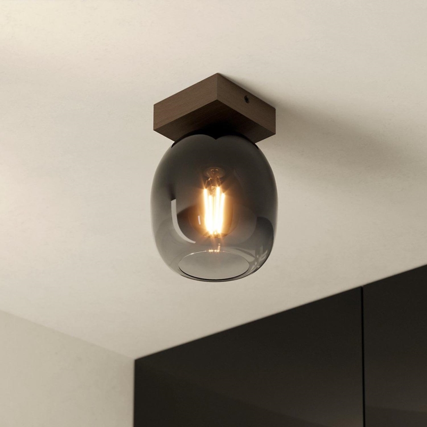 Eglo - Ceiling light 1xE27/40W/230V