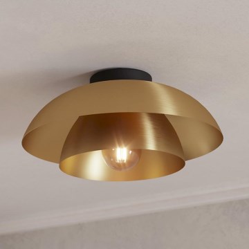 Eglo - Ceiling light 1xE27/40W/230V