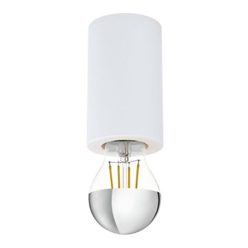 Eglo - Ceiling light 1xE27/40W/230V