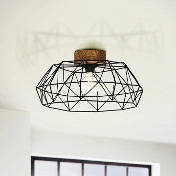 Eglo - Ceiling light 1xE27/60W/230V