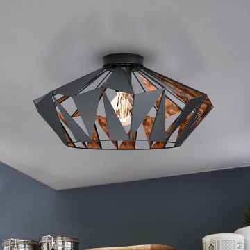 Eglo - Ceiling light 1xE27/60W/230V
