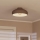 Eglo - Ceiling light 1xE27/60W/230V