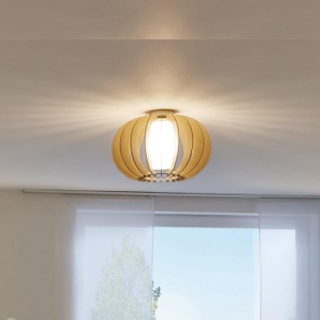 Eglo - Ceiling light 1xE27/60W/230V