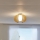 Eglo - Ceiling light 1xE27/60W/230V