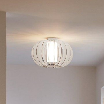 Eglo - Ceiling light 1xE27/60W/230V