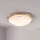 Eglo - Ceiling light 1xE27/60W