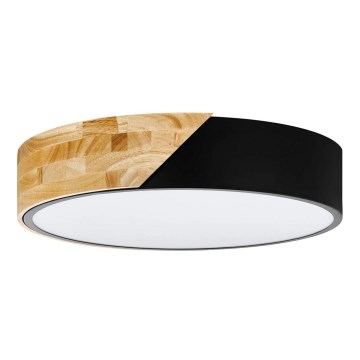 Eglo - Ceiling light 2xE27/28W/230V
