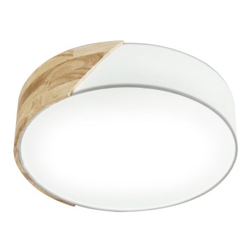 Eglo - Ceiling light 2xE27/28W/230V