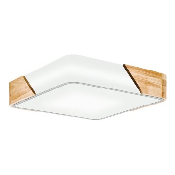 Eglo - Ceiling light 2xE27/28W/230V