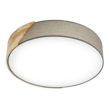 Eglo - Ceiling light 2xE27/28W/230V