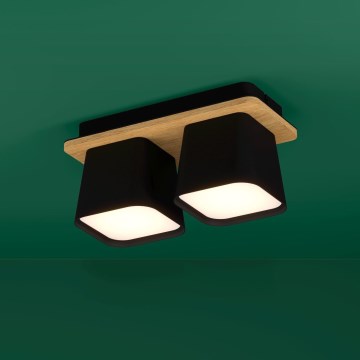 Eglo - Ceiling light 2xE27/40W/230V black/brown
