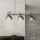 Eglo - Chandelier on a chain 3xE27/28W/230V