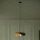 Eglo - Chandelier on a string 1xE27/40W/230V 53 cm black/gold