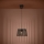 Eglo - Chandelier on a string 1xE27/40W/230V black