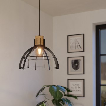 Eglo - Chandelier on a string 1xE27/40W/230V black