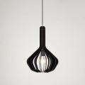 Eglo - Chandelier on a string 1xE27/40W/230V d. 38 cm black